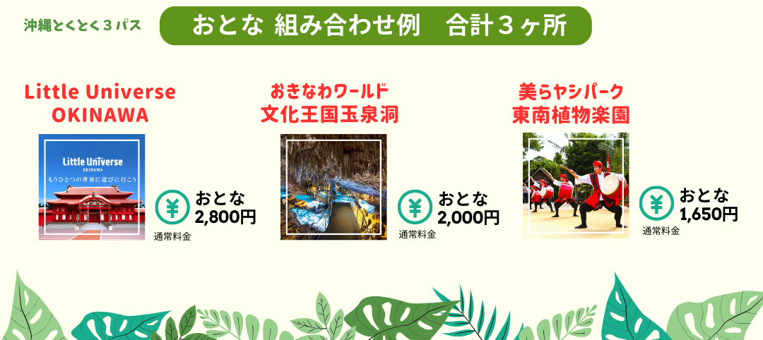 沖縄美ら海エンジョイフリーパス：チケットの種類 | リウボウ旅行サービス