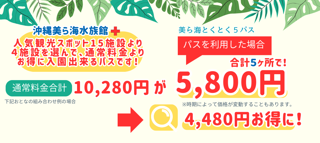 美ら海水族館 チケット 大人１枚 2025年3末 沖縄 速かっ