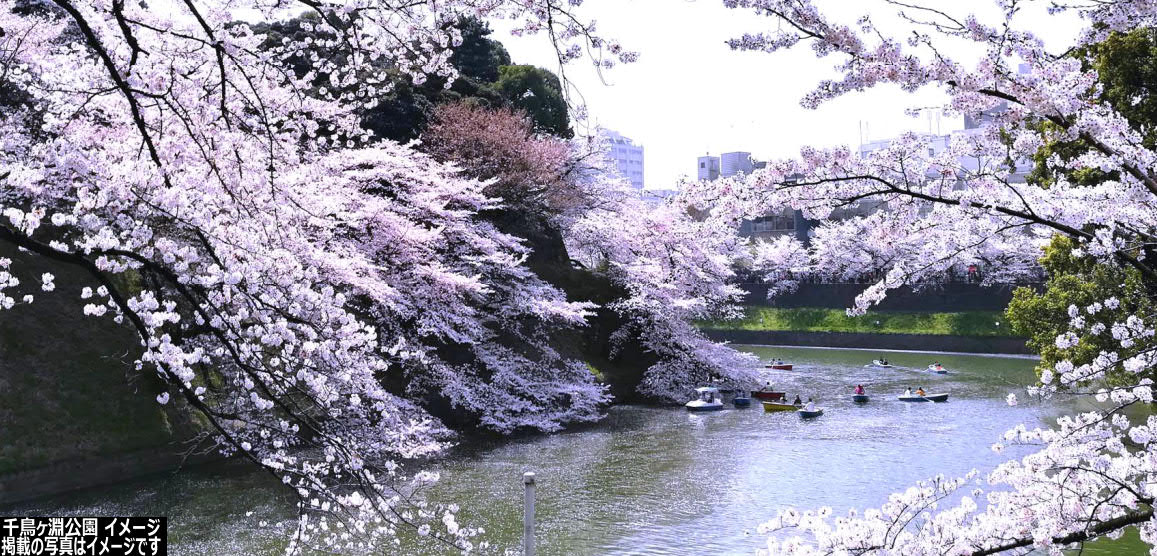 終了ｺｰｽ 東京桜名所めぐりと東京スカイツリー3日間 那覇発 リウボウ旅行サービス