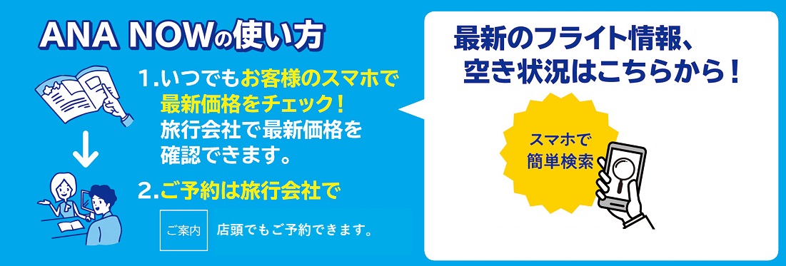 価格変動型パッケージ Ana Now あななう なら前日まで予約ｏｋ リウボウ旅行サービス