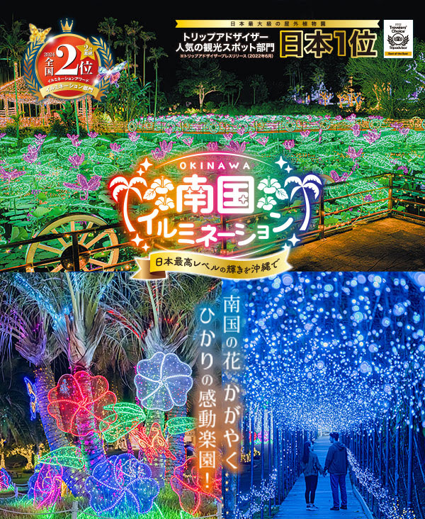 東南植物楽園「南国イルミネーション」（2024年10/25～2025年5/25）