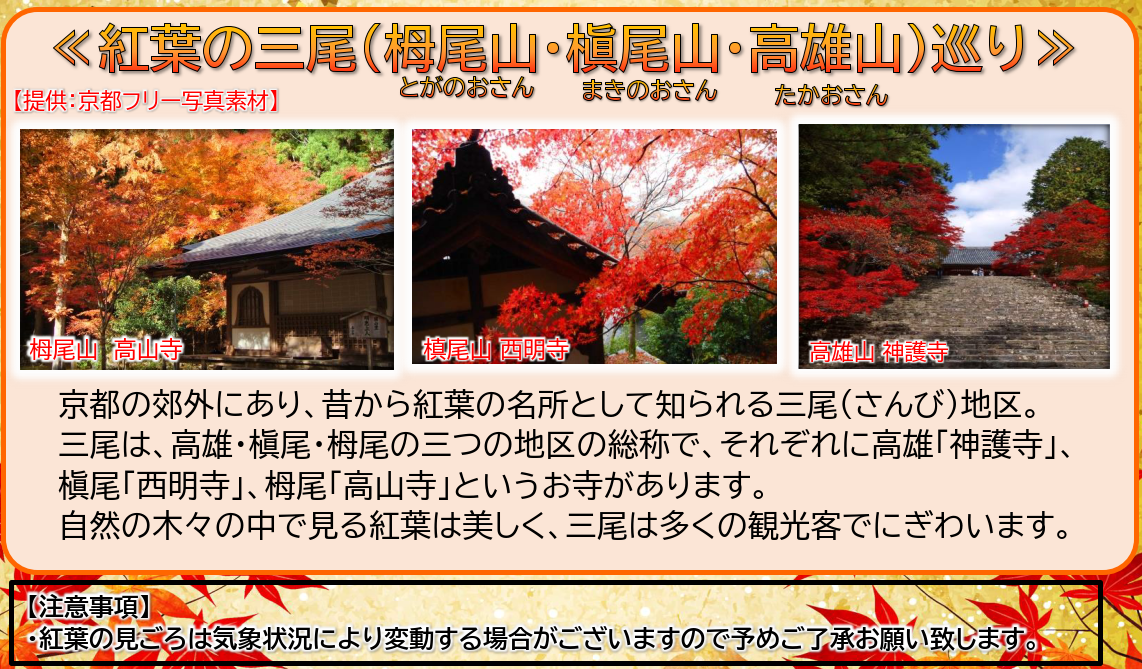 ～紅に染まる錦秋の京都～特別入山 「光明寺」と三尾巡り3日間