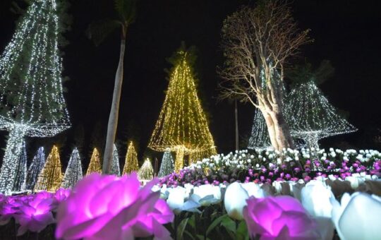 東南植物楽園　沖縄南国イルミネーション2021
