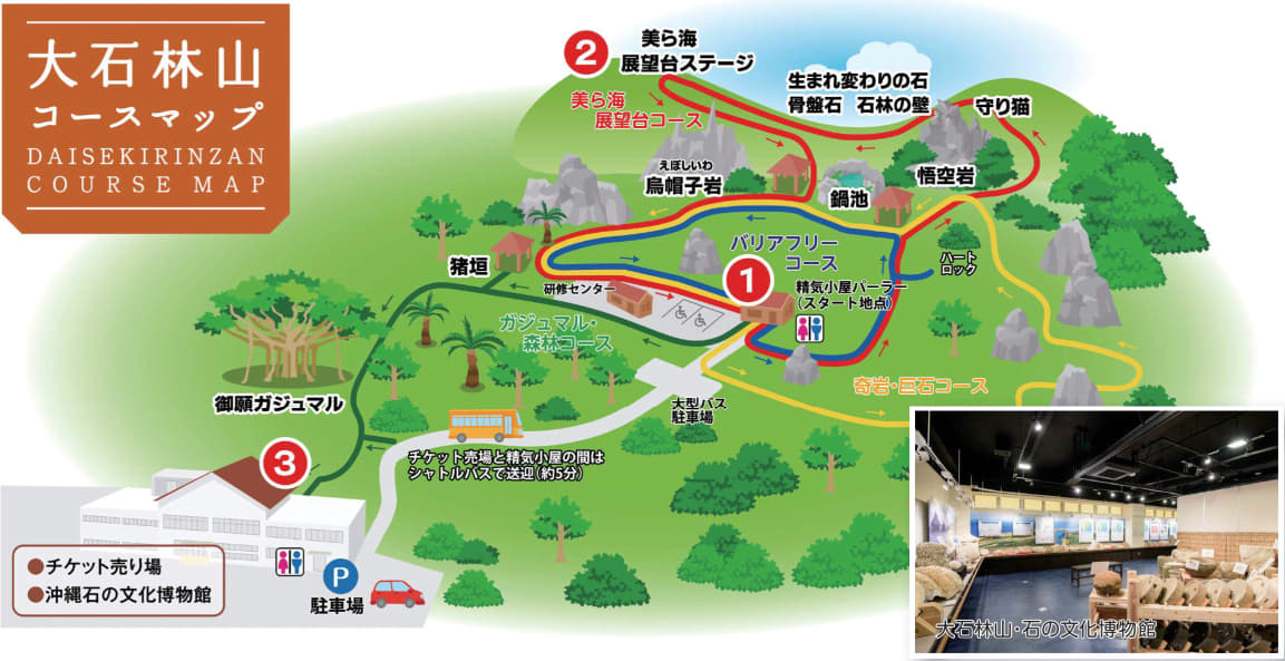 コースマップ　「大石林山」やんばる国立公園日帰りバスツアー　～太古より継ぐ始原の山を歩く～【遊タイムツアー】