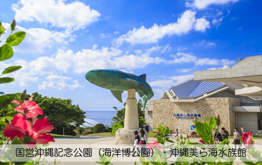 国営沖縄記念公園（海洋博公園）沖縄美ら海水族館
