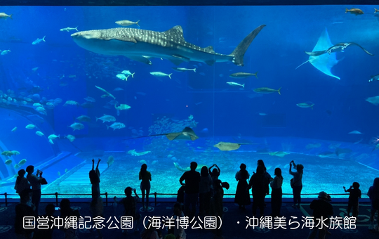 国営沖縄記念公園（海洋博公園）沖縄美ら海水族館