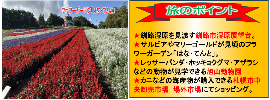 旅のポイント 【添乗員同行】北海道の秋を巡る、絶景と名湯4日間。【遊タイムツアー】 旅のポイント 【添乗員同行】北海道の秋を巡る、絶景と名湯4日間。【遊タイムツアー】