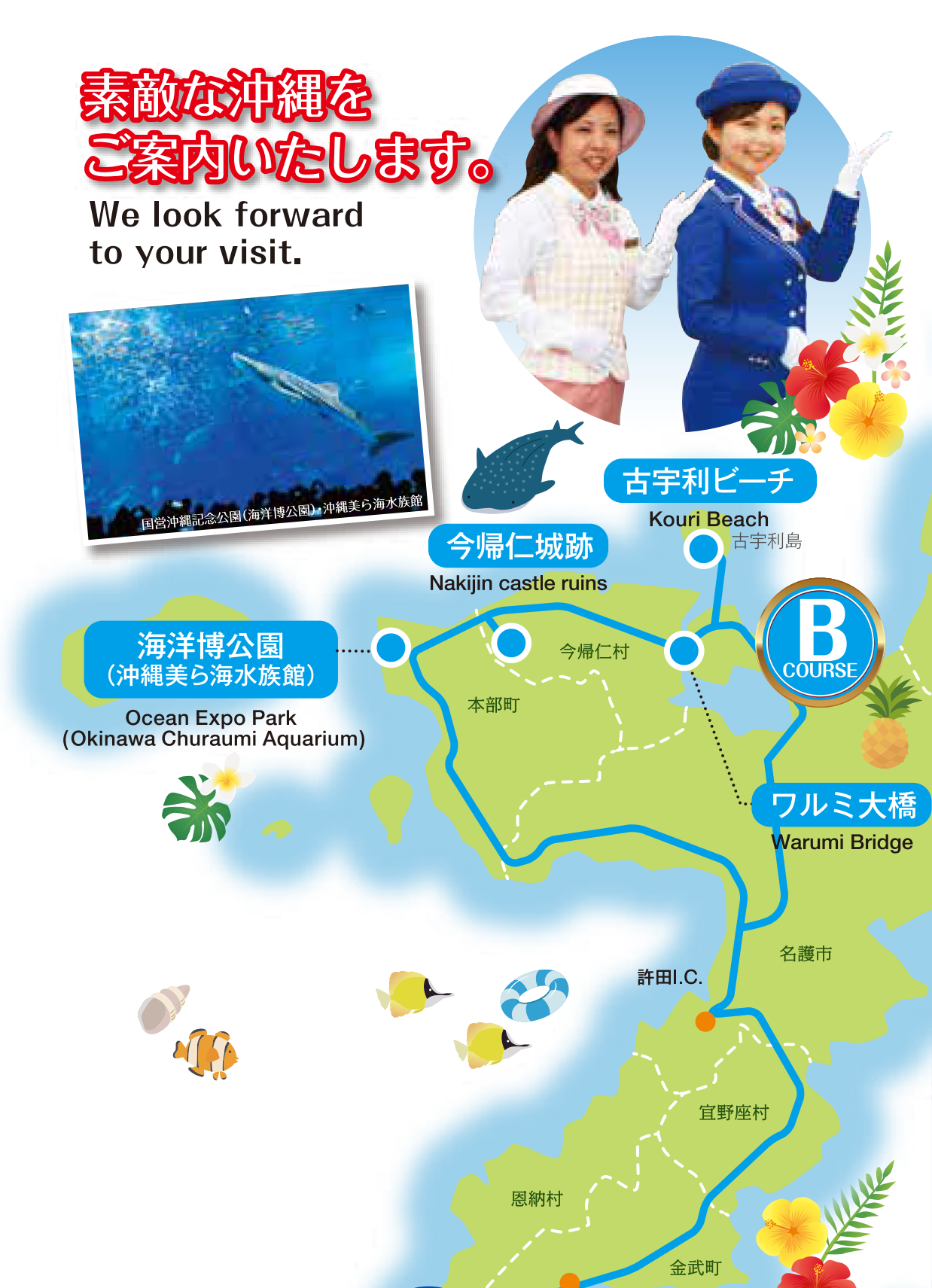 【琉球バス交通　定期観光バス】ルートマップ　北部方面