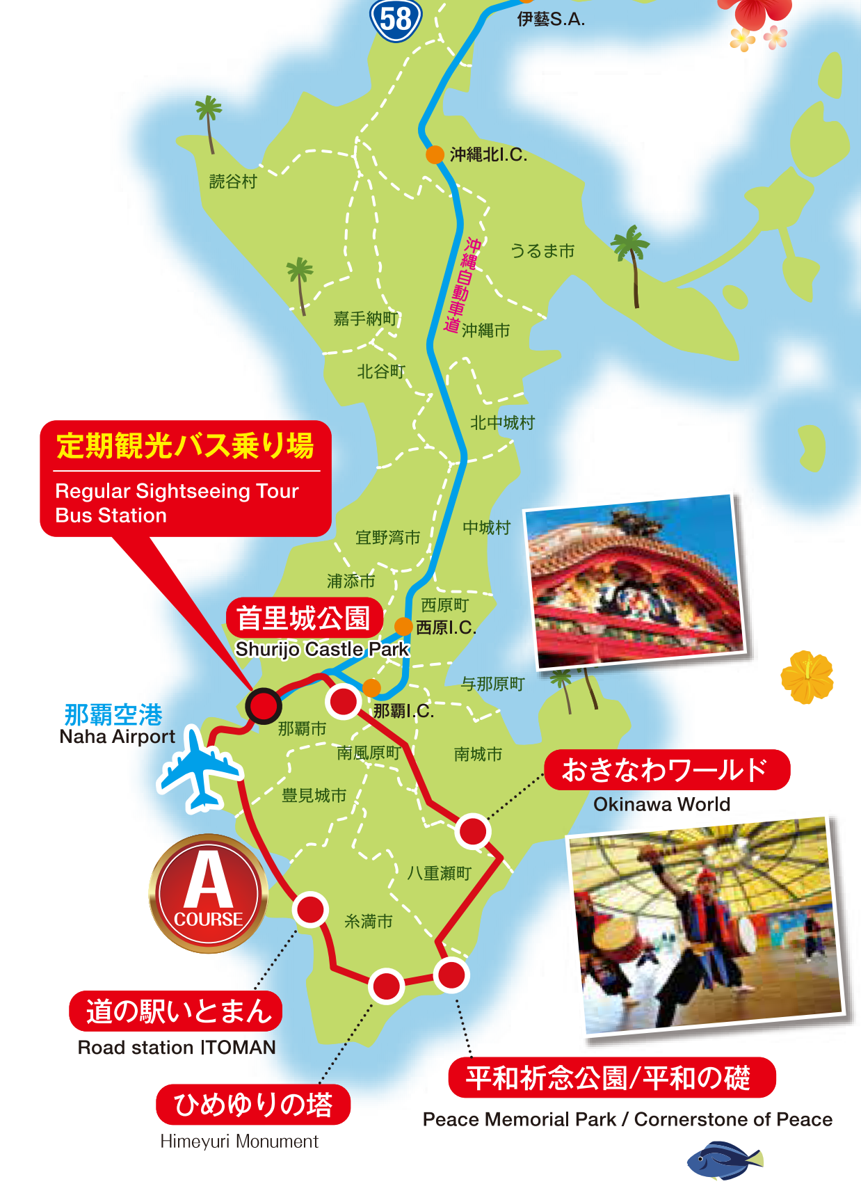 【琉球バス交通　定期観光バス】ルートマップ　中南部方面
