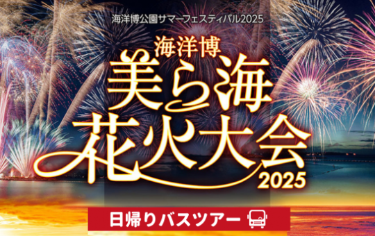 海洋博　美ら海花火大会