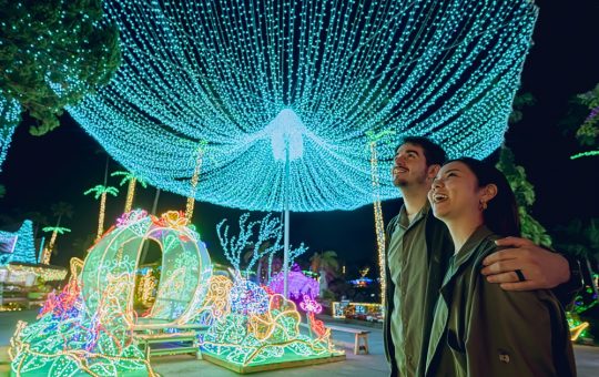 東南植物楽園イルミネーション　イメージ