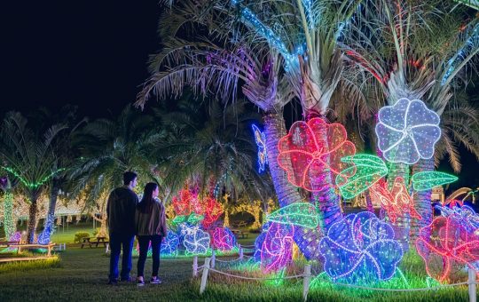 東南植物楽園イルミネーション　イメージ