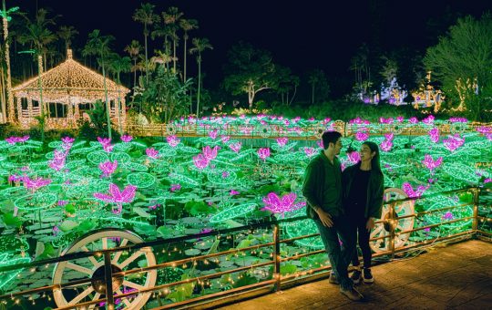 東南植物楽園イルミネーション　イメージ