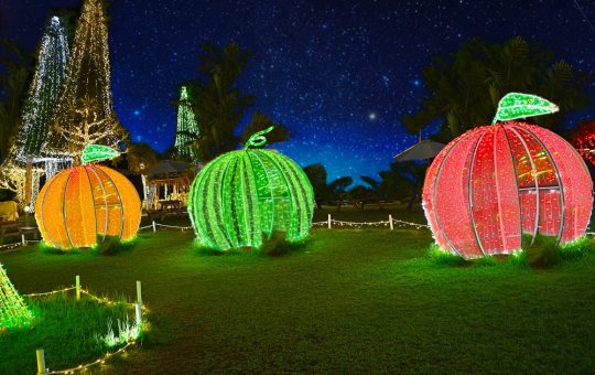 東南植物楽園イルミネーション　イメージ