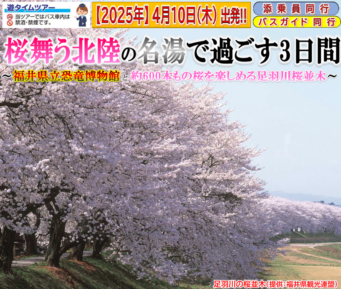 <添乗員同行>桜舞う北陸の名湯で過ごす３日間～福井県立恐竜博物館と約600本もの桜を楽しめる足羽川桜並木～　那覇発【遊タイムツアー】