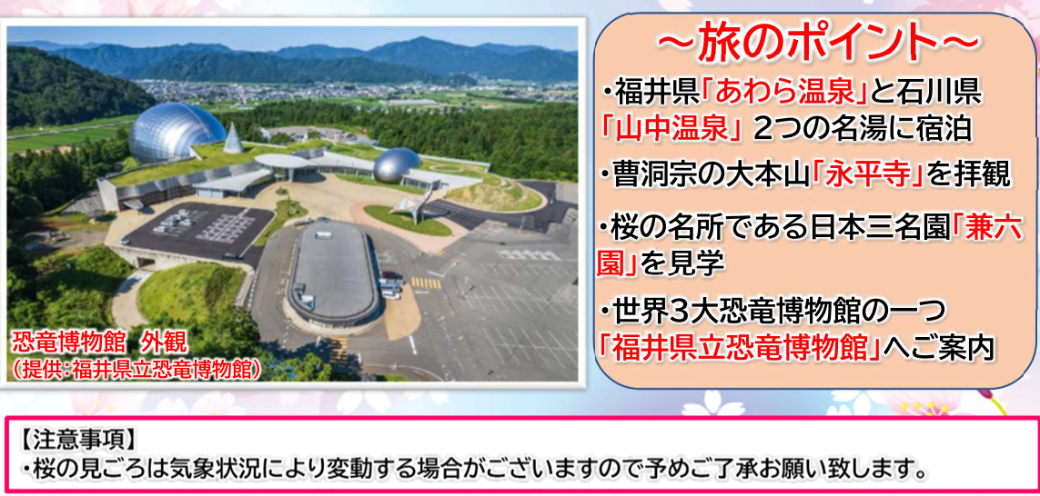 ・福井県「あわら温泉」と石川県「山中温泉」２つの名湯に宿泊  ・曹洞宗の大本山「永平寺」を拝観  ・桜の名所である日本三名園「兼六園」を見学  ・世界３大恐竜博物館のひとつ、「福井県立恐竜博物館」へご案内