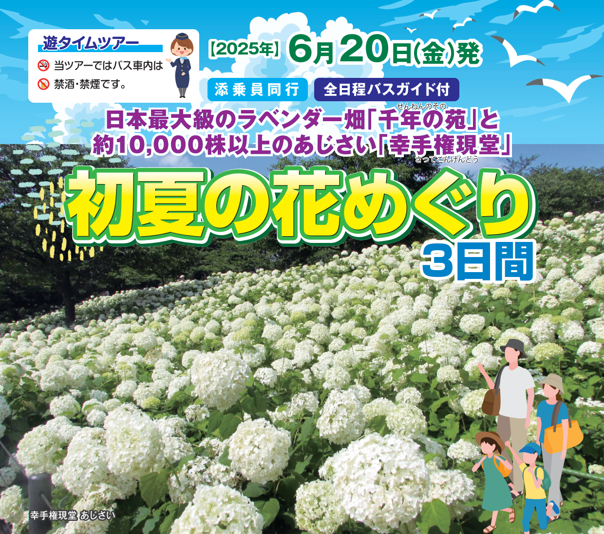 <添乗員同行>初夏の花めぐり３日間　那覇発【遊タイムツアー】