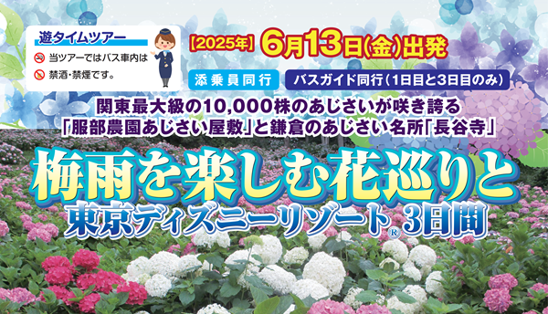 <添乗員同行>梅雨を楽しむ花巡りと東京ディズニーリゾート３日間　那覇発【遊タイムツアー】