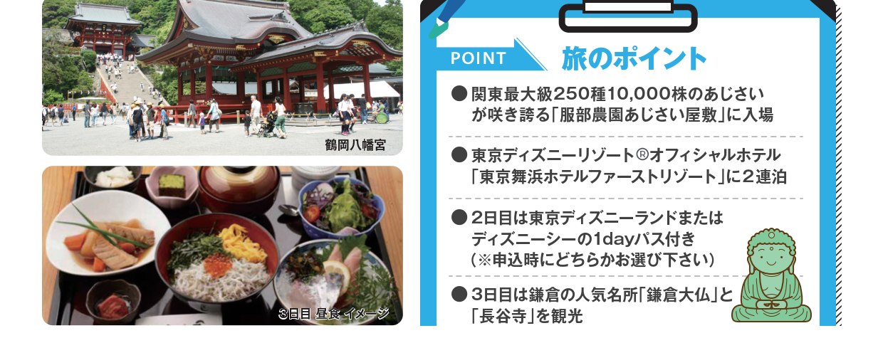 関東最大級２５０種１万株のあじさいが咲き誇る「服部農園あじさい屋敷」に入場  東京ディズニーリゾート オフィシャルホテル「東京舞浜ホテルファーストリゾート」に２連泊  ２日目は東京ディズニーランドまたはディズニーシーの１ＤＡＹパス付き （※申込時にどちらかお選び下さい）   ３日目は鎌倉の人気名所「鎌倉大仏」と「長谷寺」を観光