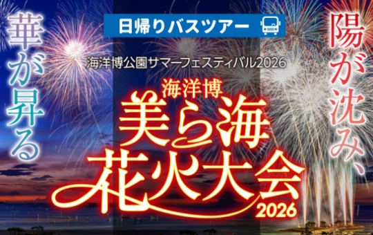 イメージ　海洋博　美ら海 花火大会　日帰りバスツアー【遊タイムツアー】海洋博公園サマーフェスティバル２０２６