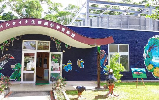 ヤンバルクイナ生態展示学習施設 クイナの森 （安田くいなふれあい公園）