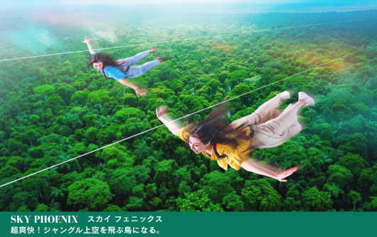 SKY PHOENIX スカイ フェニックス　超爽快！ジャングル上空を飛ぶ鳥になる。