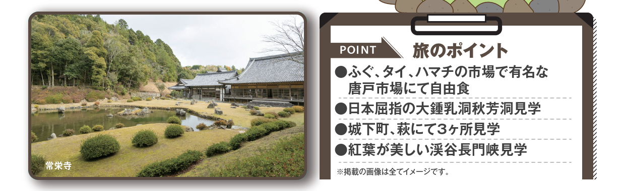 <添乗員同行>紅葉彩る山口路　秋芳洞・萩・湯田温泉３日間。那覇発【遊タイムツアー】