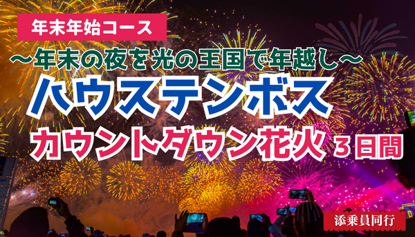 <添乗員同行>１２月３０日発　ハウステンボス　カウントダウン花火３日間　那覇発【遊タイムツアー】