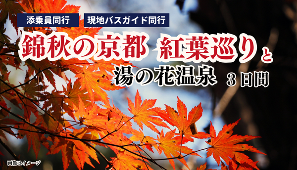 <添乗員同行>錦秋の京都　紅葉巡りと湯の花温泉３日間　那覇発【遊タイムツアー】