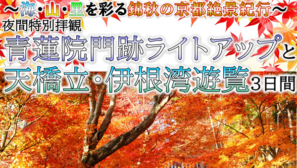 【添乗員同行】特別夜間拝観「青蓮院門跡ライトアップ」と天橋立・伊根湾遊覧3日間　那覇空港発着【遊タイムツアー】