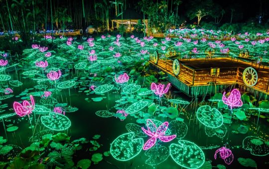 東南植物楽園イルミネーション　イメージ