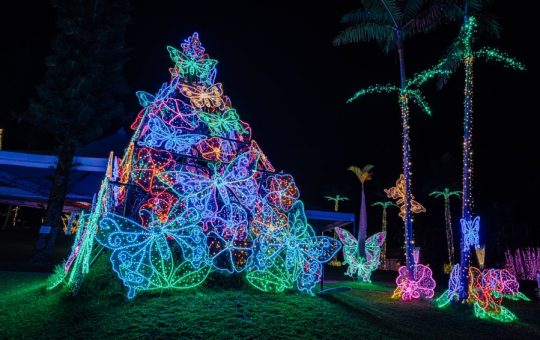 東南植物楽園イルミネーション　イメージ