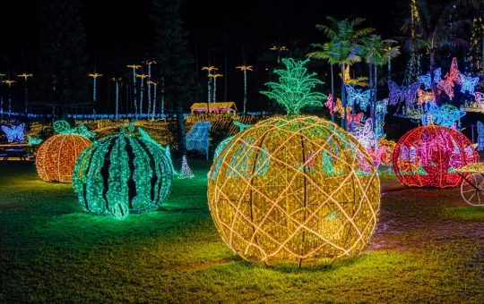 東南植物楽園イルミネーション　イメージ