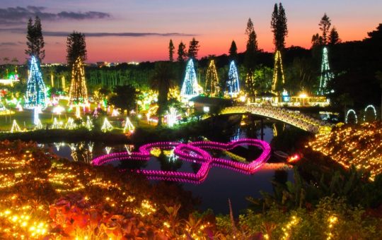 東南植物楽園イルミネーション　イメージ