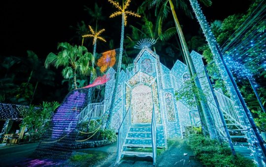 東南植物楽園イルミネーション　イメージ