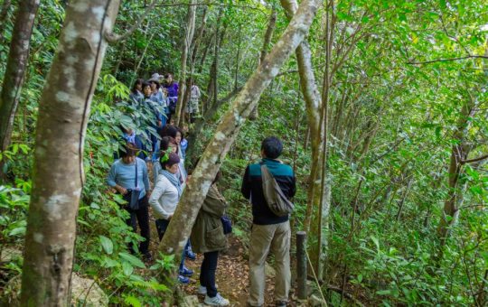 ネクマチヂ岳トレッキング ネクマチヂ岳トレッキング
