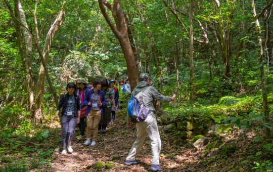 ネクマチヂ岳トレッキング ネクマチヂ岳トレッキング
