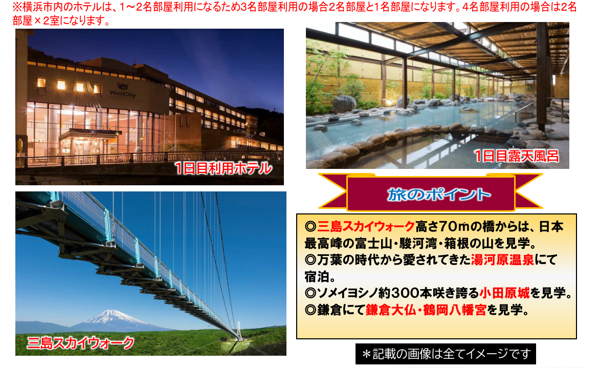 旅のポイント<添乗員同行>～関東桜～湯河原温泉・小田原城・鎌倉横浜３日間　那覇発【遊タイムツアー】