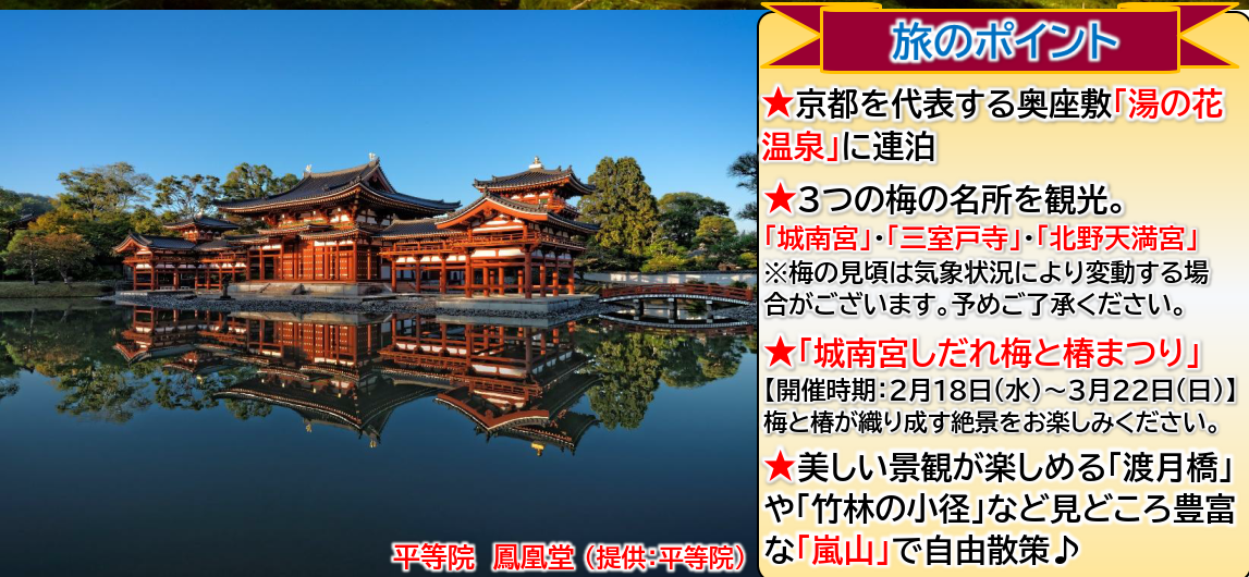 旅のポイント <添乗員同行>~梅と椿が織りなす幻想美~京都・湯の花温泉3日間~那覇発【遊タイムツアー】 旅のポイント <添乗員同行>~梅と椿が織りなす幻想美~京都・湯の花温泉3日間~那覇発【遊タイムツアー】