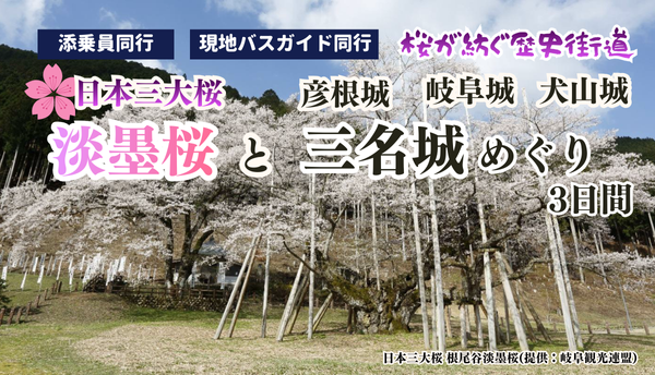 <添乗員同行>～桜が紡ぐ歴史街道～日本三大桜「淡墨桜」と三名城（彦根城・岐阜城・犬山城）めぐり３日間　那覇発【遊タイムツアー】