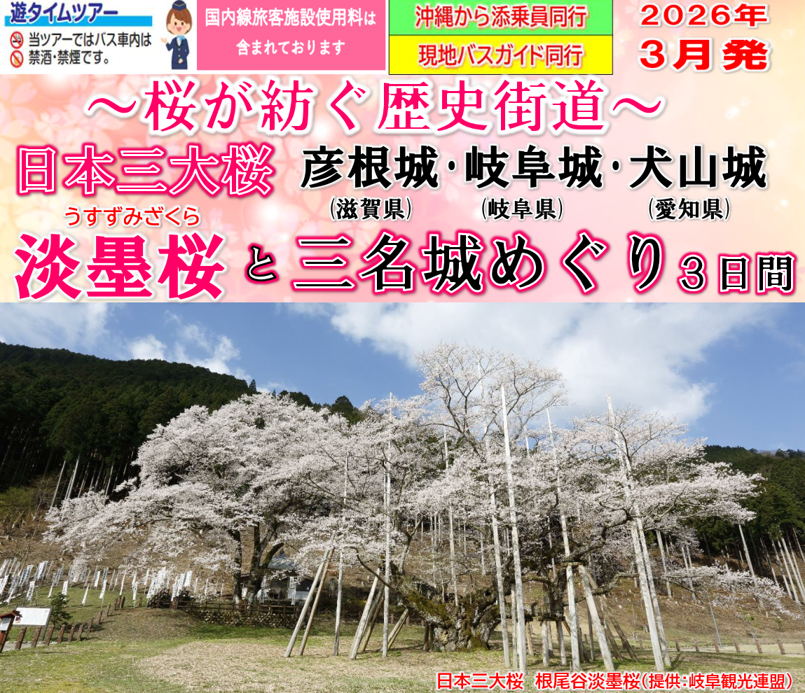 <添乗員同行>～桜が紡ぐ歴史街道～日本三大桜「淡墨桜」と三名城（彦根城・岐阜城・犬山城）めぐり３日間　那覇発【遊タイムツアー】