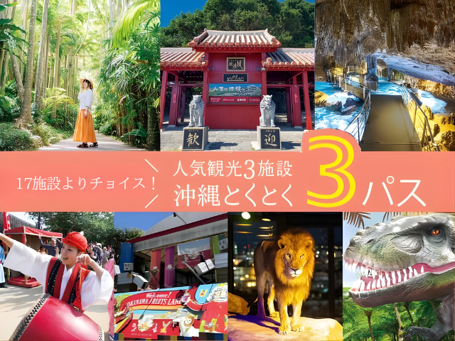 沖縄とくとく3パス