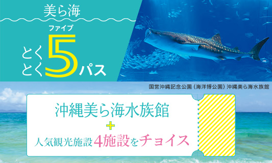 美ら海とくとく5パス
