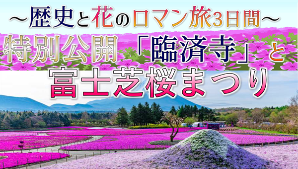 【添乗員同行】～歴史と花のロマン旅３日間～特別公開「臨済寺」と富士芝桜まつり。那覇空港発着　遊タイムツアー