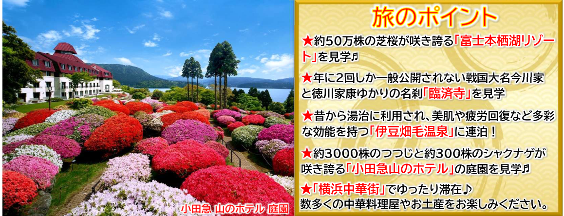 旅のポイント【添乗員同行】～歴史と花のロマン旅3日間～特別公開「臨済寺」と富士芝桜まつり。那覇空港発着　遊タイムツアー