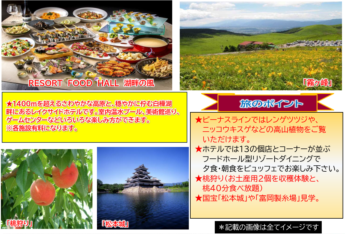 旅のポイント【添乗員同行】長野・絶景ドライブルート 霧ヶ峰・美ケ原高原と松本城3日間~ 那覇発【遊タイムツアー】 旅のポイント【添乗員同行】長野・絶景ドライブルート 霧ヶ峰・美ケ原高原と松本城3日間~ 那覇発【遊タイムツアー】