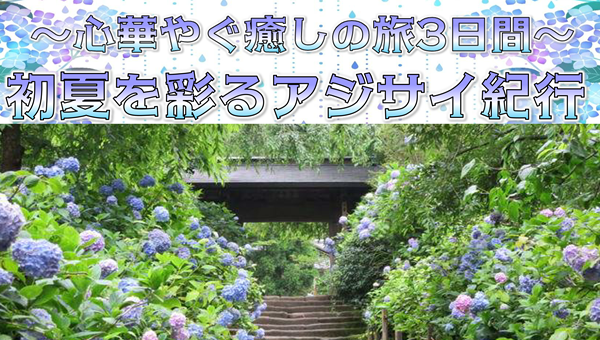 【添乗員同行】初夏を彩るアジサイ紀行～心華やぐ癒しの旅３日間～那覇空港発着　遊タイムツアー