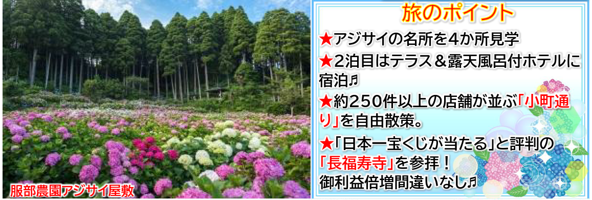 旅のポイント　【添乗員同行】初夏を彩るアジサイ紀行～心華やぐ癒しの旅３日間～那覇空港発着　遊タイムツアー