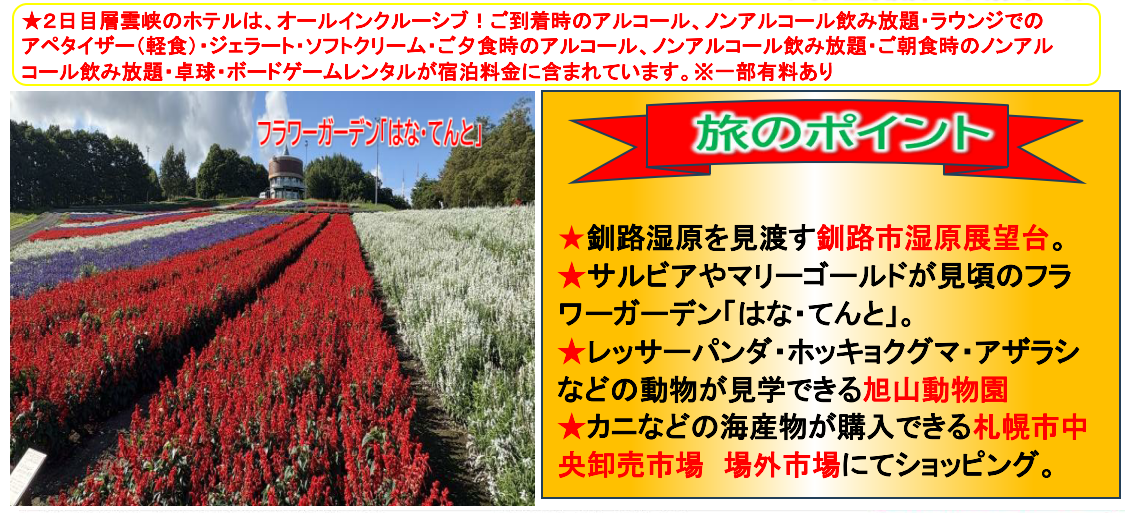 【添乗員同行】北海道の秋を巡る、絶景と名湯４日間。【遊タイムツアー】