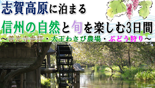 【添乗員同行】志賀高原に泊まる信州の自然と旬を楽しむ３日間～善光寺参拝・大王わさび農場・ぶどう狩り～那覇空港発着　遊タイムツアー